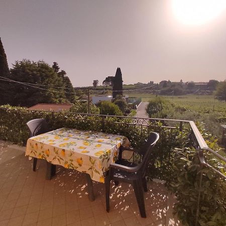 Bedbardolino Apartment Bagian luar foto